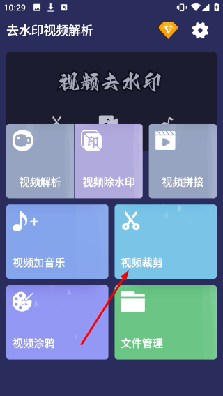 去水印视频解析