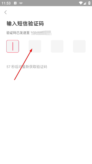 老柚正版