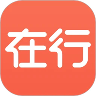 在行