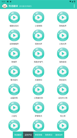狗语翻译