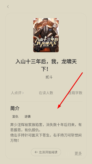 秘读小说