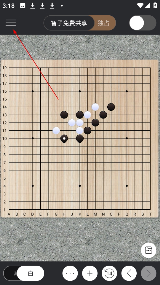 智子围棋