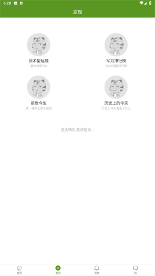 迷彩虎