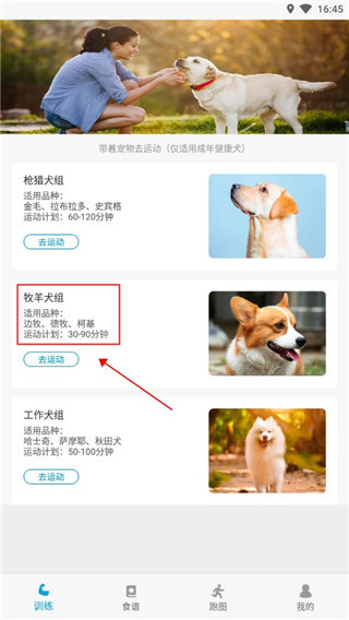 小兔乐跑