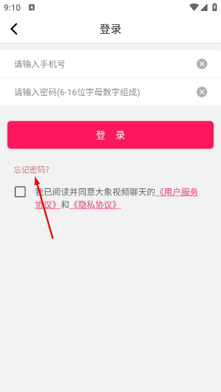 大象视频聊天