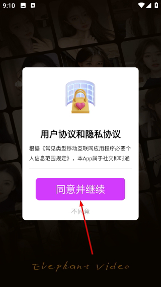 大象视频聊天