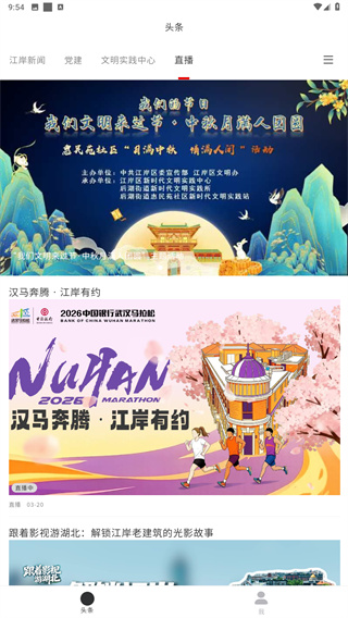 大江金岸