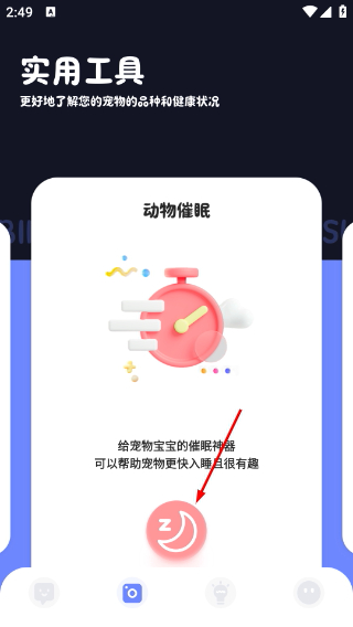 鸟语翻译器