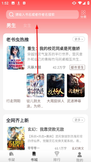 灵猫免费小说