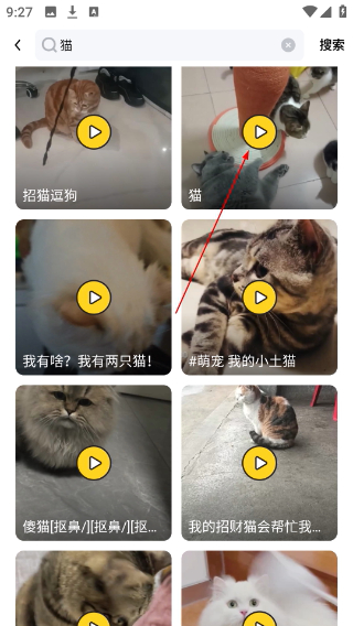 闪糖