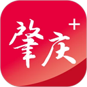 肇庆plus