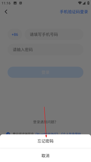 布鲁帝