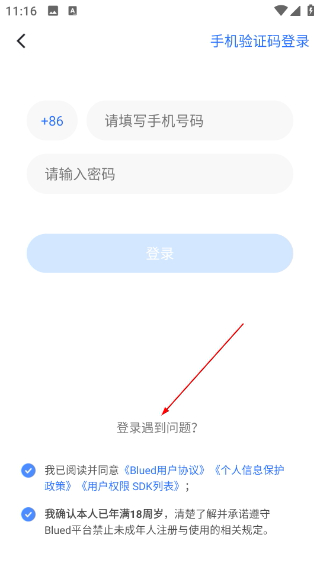 布鲁帝