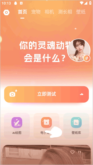 灵魂宠物