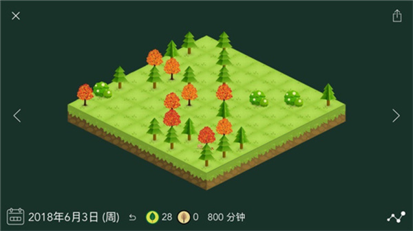 Forest专注森林