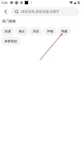 小鸟壁纸