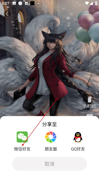 小鸟壁纸手机版