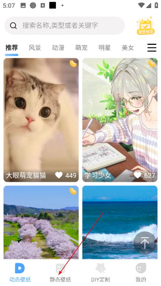 小鸟壁纸手机版