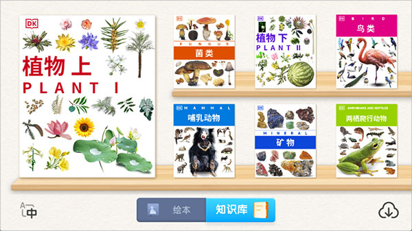 DK百科