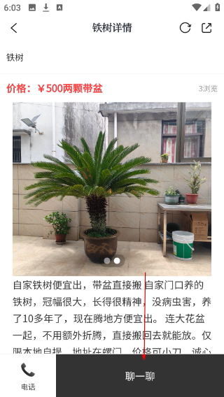 普陀潮