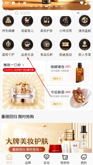 熊猫出没