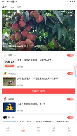 云新闻app