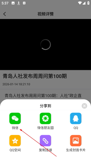 掌上青岛客户端