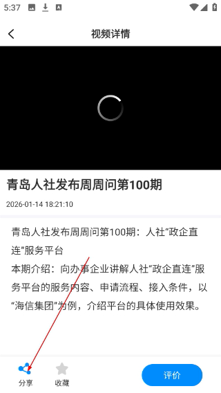 掌上青岛客户端