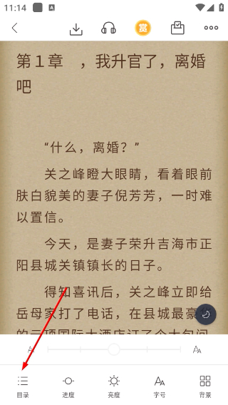 翻阅小说最新版