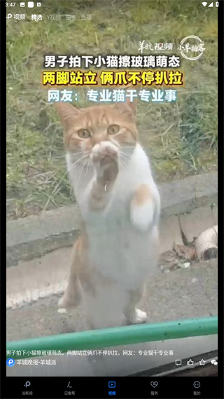 羊城派App