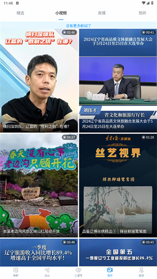 辽望app