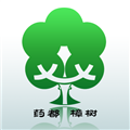 药都樟树