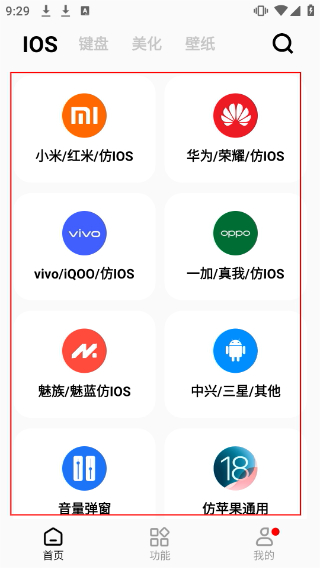 主题猫