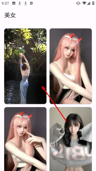 主题猫pro