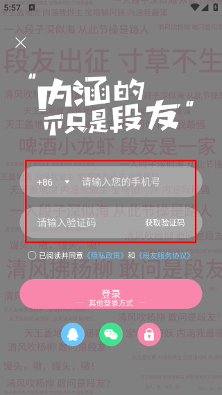 段友