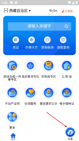 西藏政务服务网
