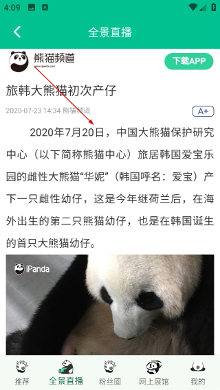 熊猫频道