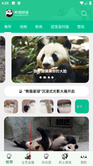 熊猫频道