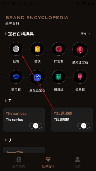 世界宝石