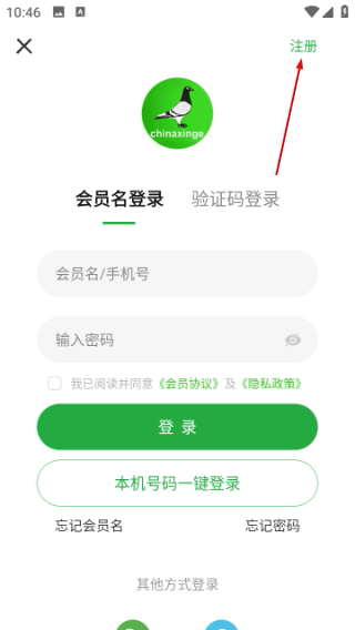 中国信鸽信息网