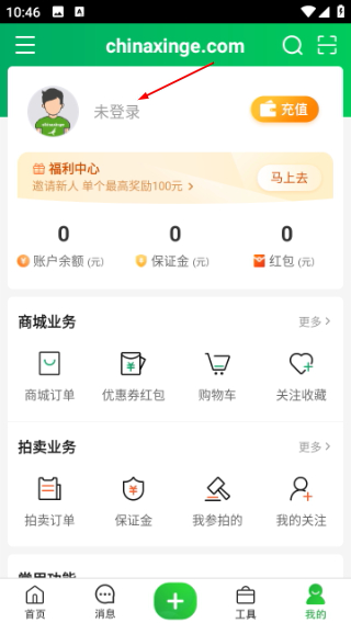中国信鸽信息网