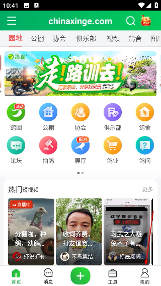 中国信鸽信息网