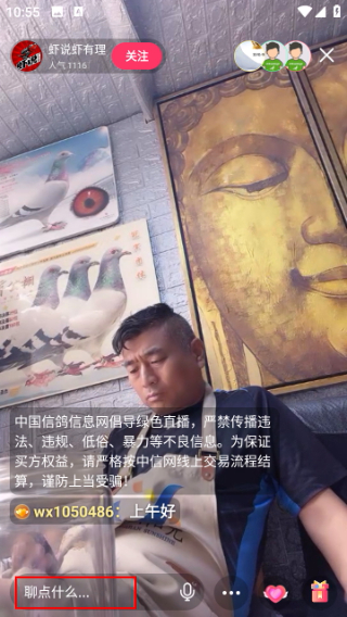 中国信鸽信息网手机版