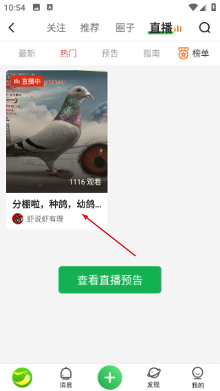 中国信鸽信息网手机版