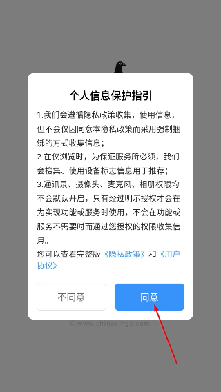 中国信鸽信息网手机版