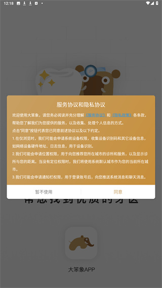 大笨象