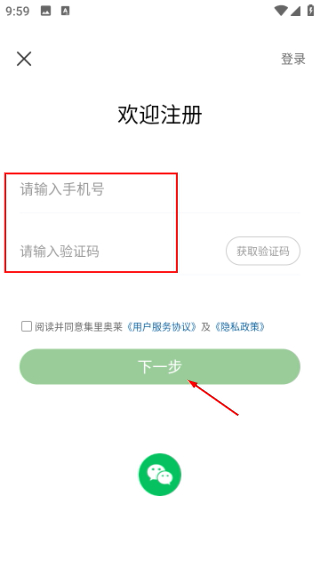 集里奥莱