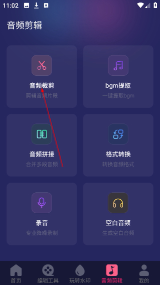 视频编辑剪辑大师
