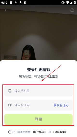 斑马地陪