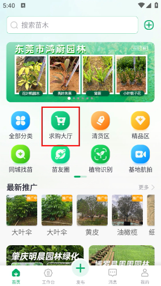 苗仓